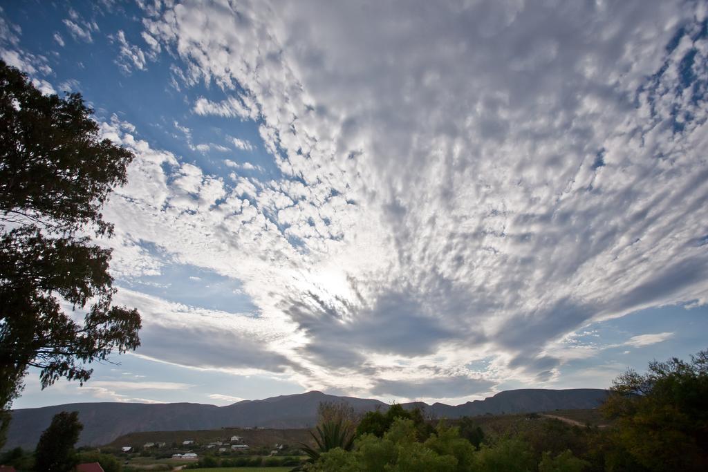 The Queen Of Calitzdorp Εξωτερικό φωτογραφία